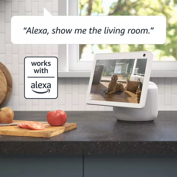 Blink alexa cheap