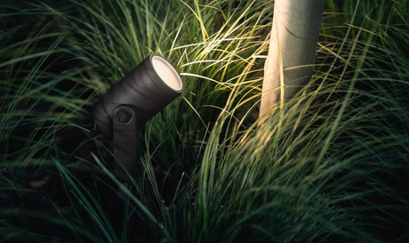 Smart Outdoor Lights