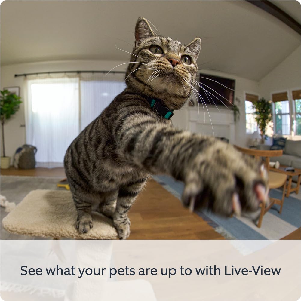 Ring Pan-Tilt Indoor Camera (2nd Gen) | 360° Pan & 169° Tilt | 1080p HD Plug-In Pet Camera | Privacy Cover | Black