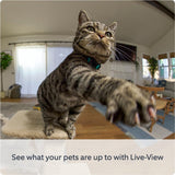 Ring Pan-Tilt Indoor Camera (2nd Gen) | 360° Pan & 169° Tilt | 1080p HD Plug-In Pet Camera | Privacy Cover | Black