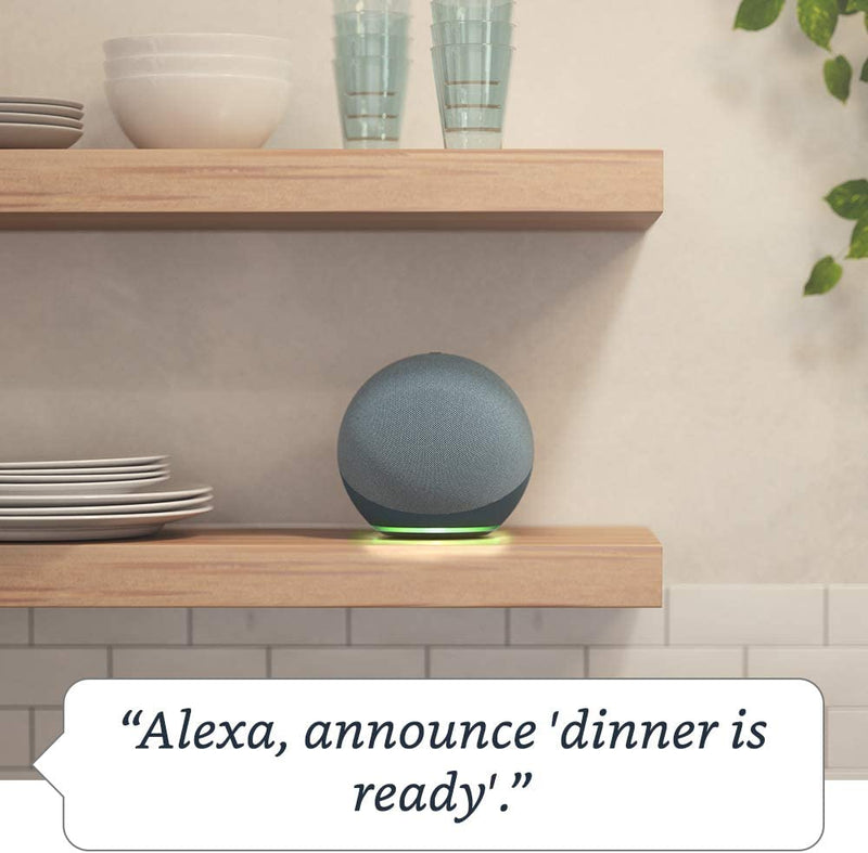 Home Voice Assistant, Speakers